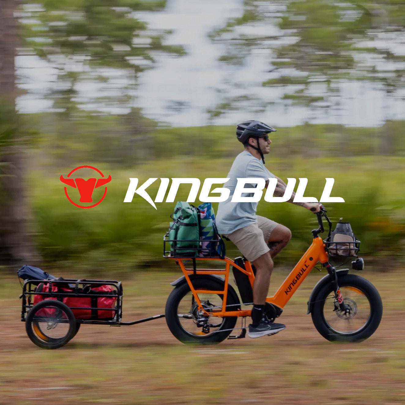 KINGBULL