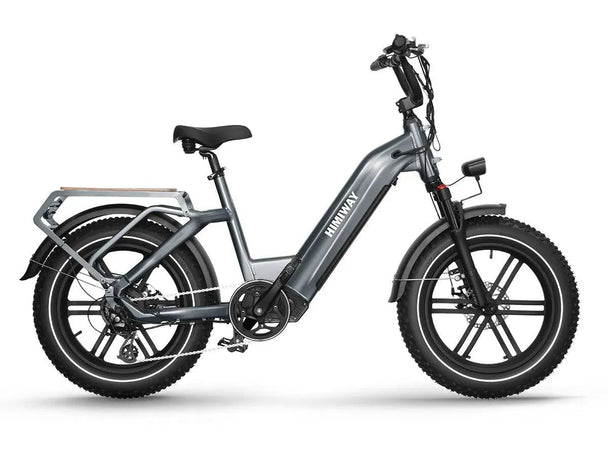 Himiway Big Dog | Electric Cargo Bike -Himiway eBike
