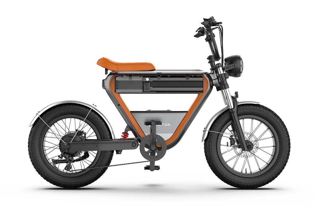 RICTOR K1 is an electric bicycle with a large triangle frame and dual batteries