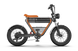 RICTOR K1 is an electric bicycle with a large triangle frame and dual batteries