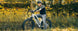 Himiway D5 Plus (Rhino) | Dual Battery Off-road Electric Bike -Himiway eBike