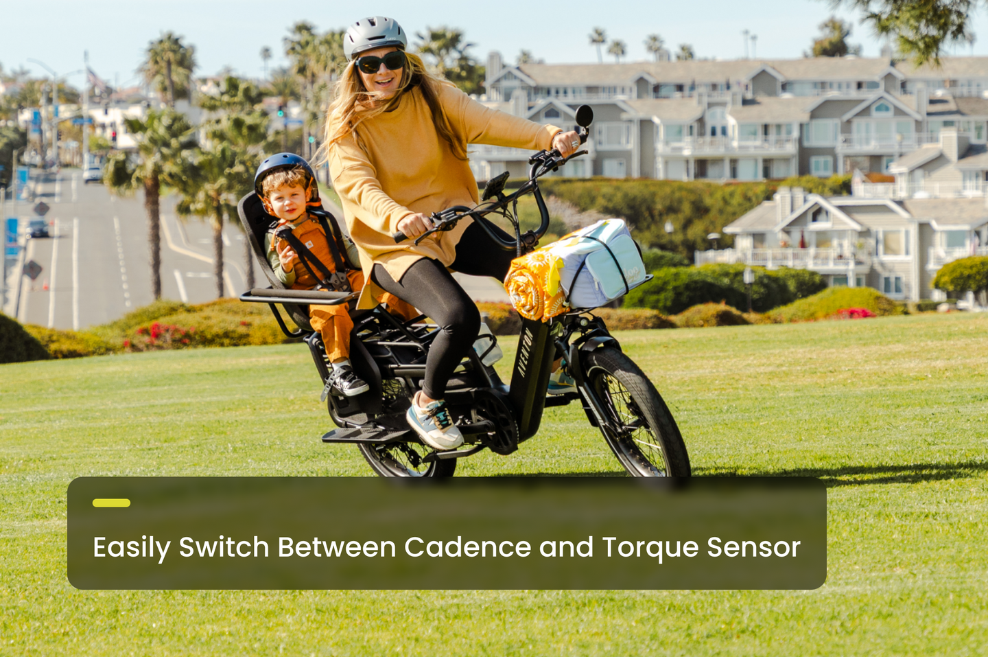 info sensor swap - common