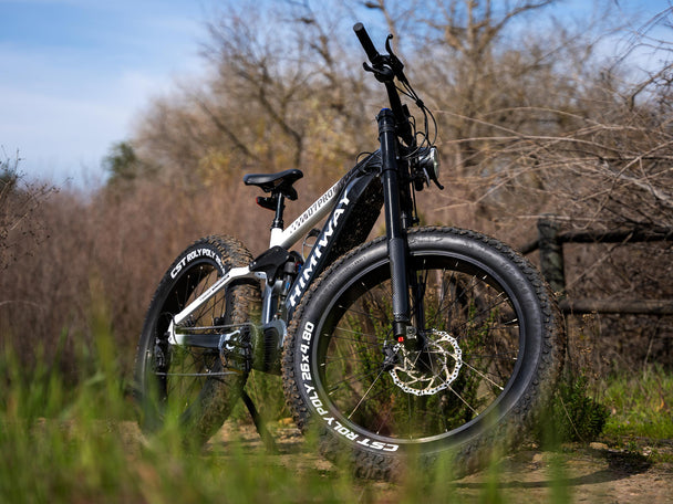 Himiway D7 Pro (Cobra Pro) | Softail Electric Mountain Bike -Himiway eBike