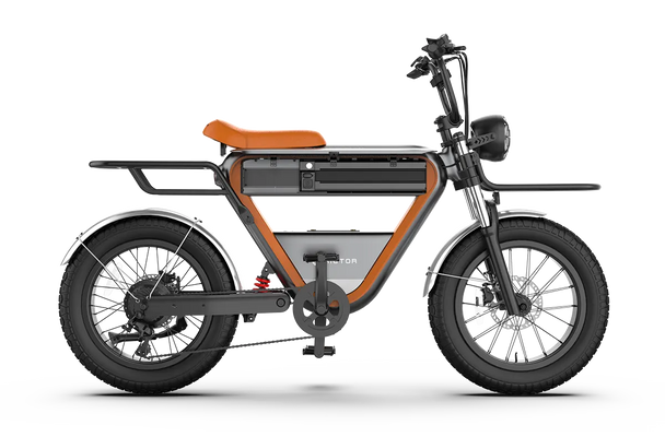 Rictor K1 electric bike with wide tires and comfortable cushions