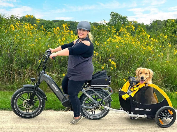 Himiway Big Dog | Electric Cargo Bike -Himiway eBike