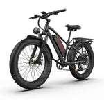 Kingbull Hunter 2.0S 1300W peak power all-terrain electric bike