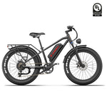 Kingbull Hunter 2.0S Mountain fat tire ebike