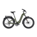 variantID:N2_ST_Olive_ads