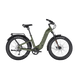 variantID:N2_ST_Olive_ads