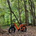 Orange cargo electric bike Voyager2.0 in the woods