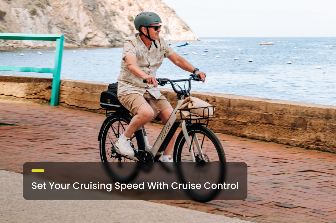 info cruise control - common