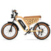 REVR V5 Pro Off-Road Electric Bike