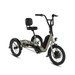 Angled side view of RadTrike electric tricycle showing rear platform, drivetrain and headlight.