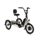 Angled side view of RadTrike electric tricycle showing rear platform, drivetrain and headlight.
