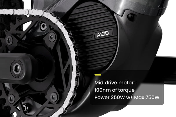 Ramblas info - Mid drive motor: 100nm of torque, Power 250W w/ Max 750W - common