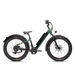Side view of a green RadRover 6 Plus step-thru electric fat tire bike