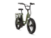 Right angle of a green RadRunner electric cargo utility bike on a white background.