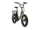 Right angle of a green RadRunner electric cargo utility bike on a white background.
