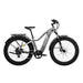 Aventure 2 Ebike - Riding 5 Electric Bike