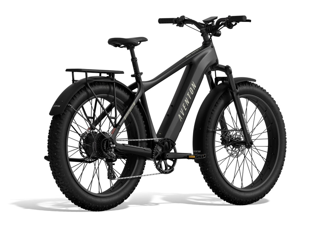 Aventure 3 Ebike - Riding 5 Electric Bike