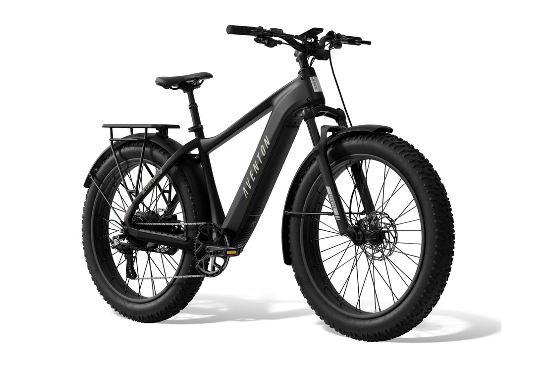 Aventure 3 Ebike - Riding 5 Electric Bike