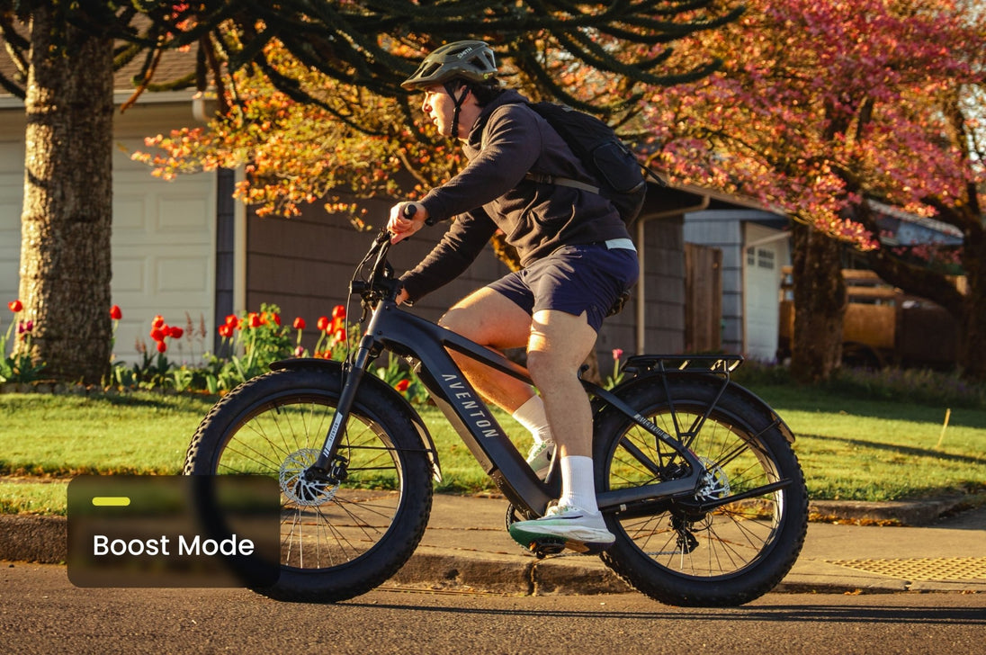Aventure 3 Ebike - Riding 5 Electric Bike