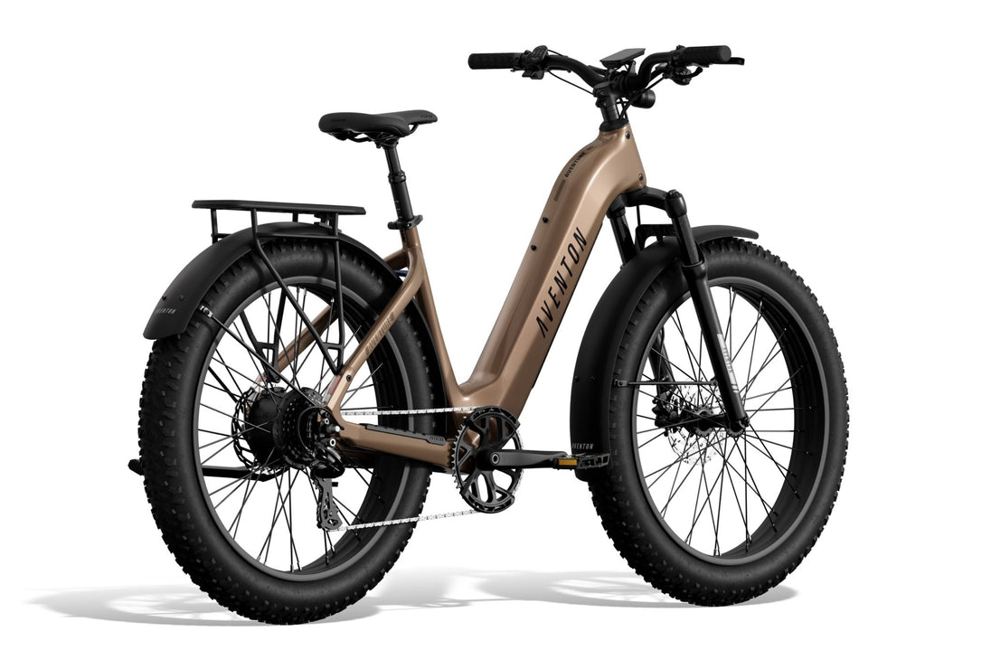 Aventure 3 Step - Through Ebike - Riding 5 Electric Bike