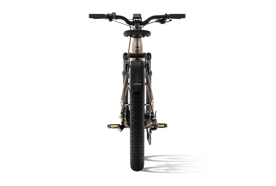 Aventure 3 Step - Through Ebike - Riding 5 Electric Bike