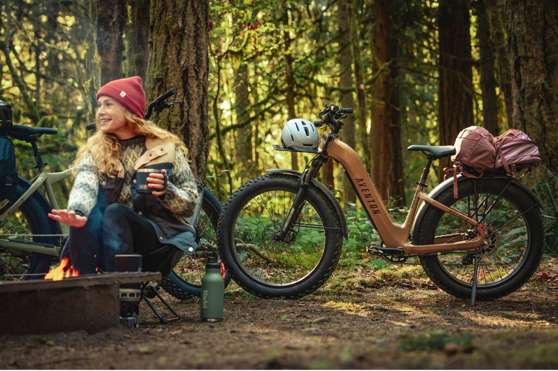 Aventure 3 Step - Through Ebike - Riding 5 Electric Bike