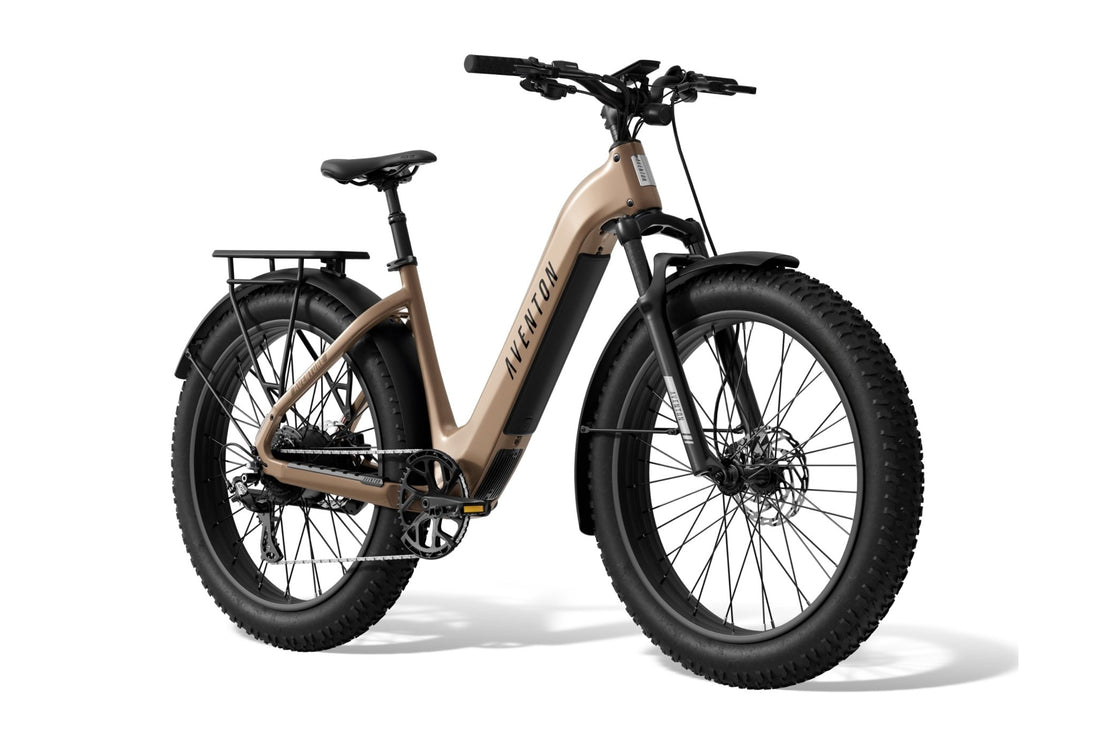 Aventure 3 Step - Through Ebike - Riding 5 Electric Bike