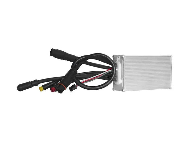 Big Dog Controller - Riding 5 Electric Bike