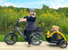 Big Dog / Electric Cargo Bike - Riding 5 Electric Bike