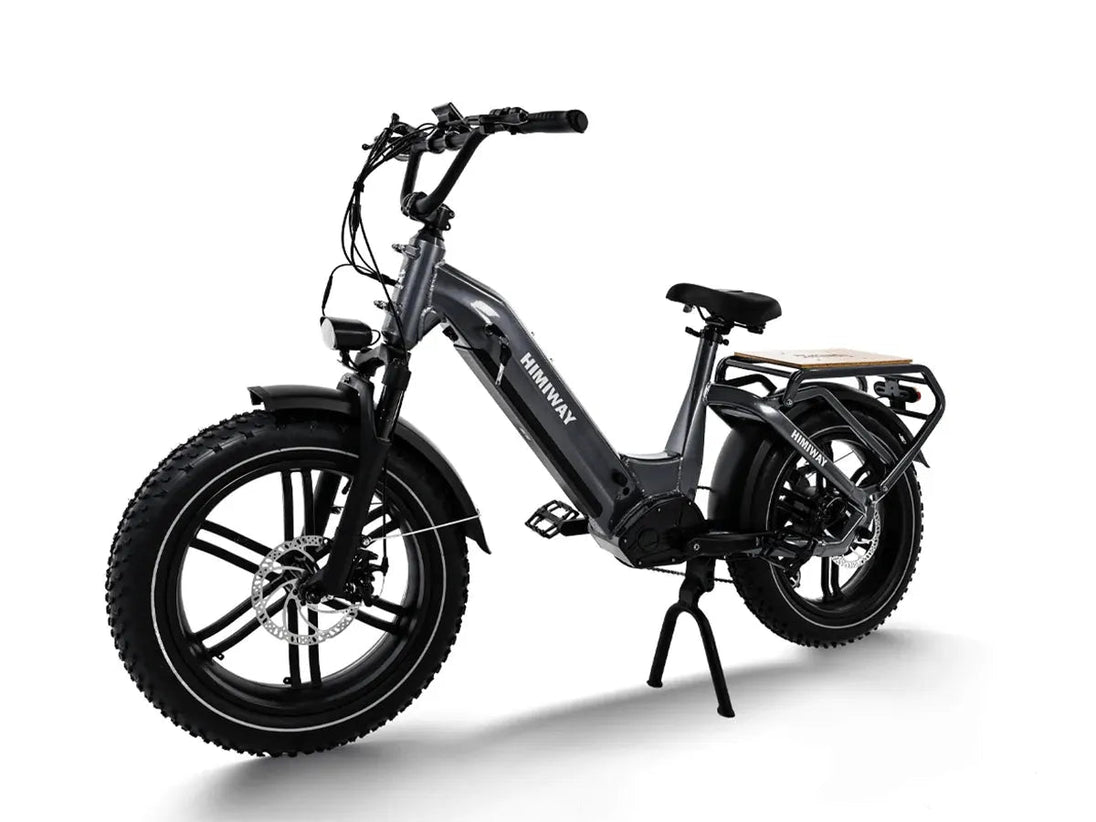 Big Dog / Electric Cargo Bike - Riding 5 Electric Bike