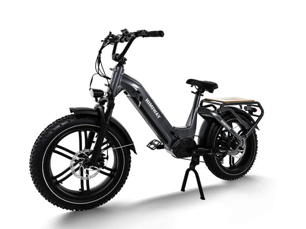Big Dog / Electric Cargo Bike - Riding 5 Electric Bike