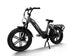 Big Dog / Electric Cargo Bike - Riding 5 Electric Bike