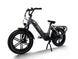 Big Dog / Electric Cargo Bike - Riding 5 Electric Bike