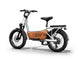 C3 / Cargo Ebike - Riding 5 Electric Bike