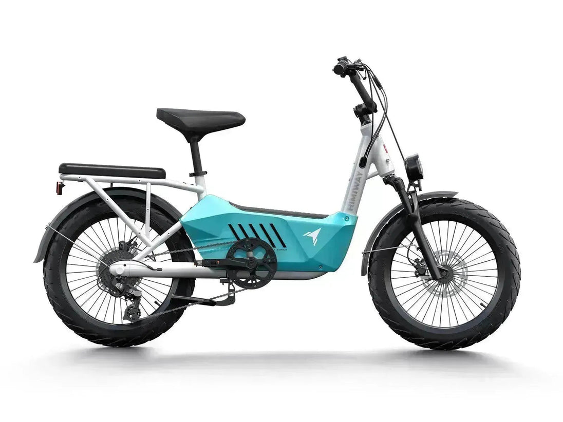 C3 / Cargo Ebike - Riding 5 Electric Bike