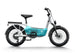 C3 / Cargo Ebike - Riding 5 Electric Bike