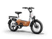 C3 / Cargo Ebike - Riding 5 Electric Bike