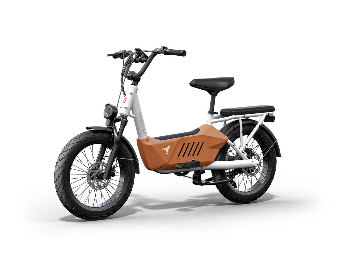 C3 / Cargo Ebike - Riding 5 Electric Bike