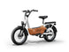 C3 / Cargo Ebike - Riding 5 Electric Bike