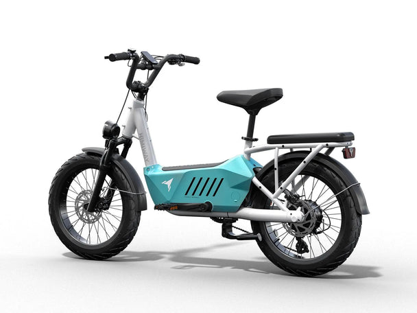 C3 / Cargo Ebike - Riding 5 Electric Bike