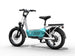 C3 / Cargo Ebike - Riding 5 Electric Bike