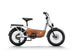C3 / Cargo Ebike - Riding 5 Electric Bike