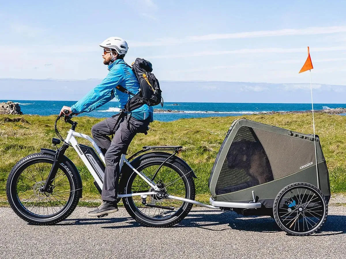 Himiway D3 ST (Cruiser ST) | All Terrain Step Thru Electric Bike -Himiway eBike