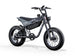 C5 / Electric bike - Riding 5 Electric Bike