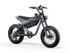 C5 / Electric bike - Riding 5 Electric Bike