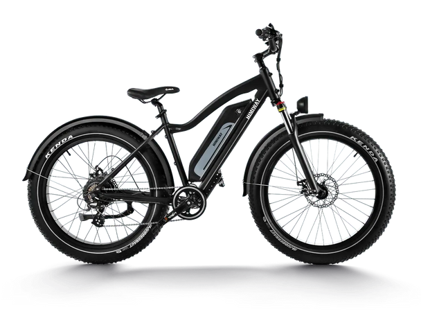 Himiway D3 (Cruiser) | Long Range Fat Tire Electric Bike -Himiway eBike