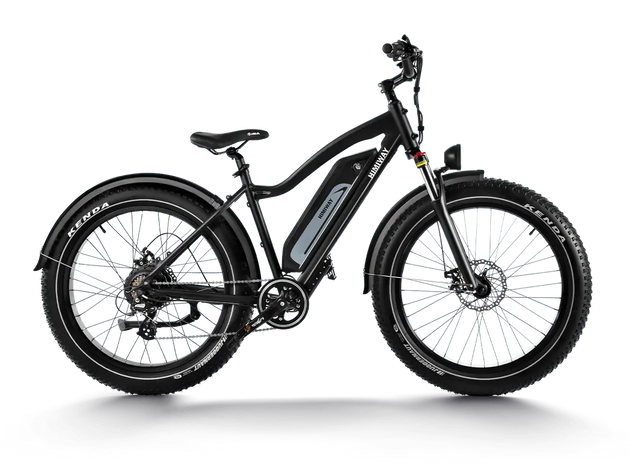 Himiway D3 (Cruiser) | Long Range Fat Tire Electric Bike -Himiway eBike